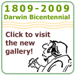 Darwin Bicentennial 1809-2009 Cartoon Gallery